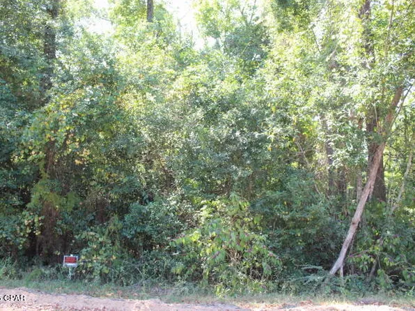 0 NW Hall Cir, Bristol, FL 32321