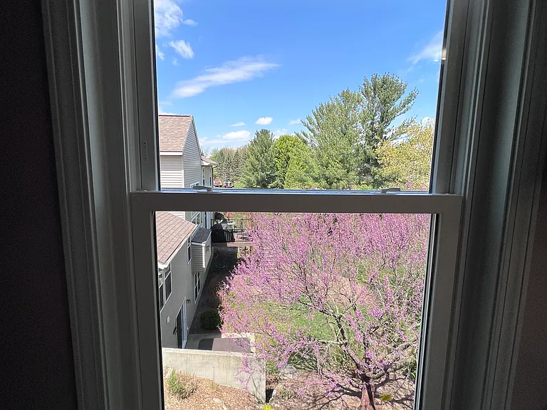 View from master bathroom