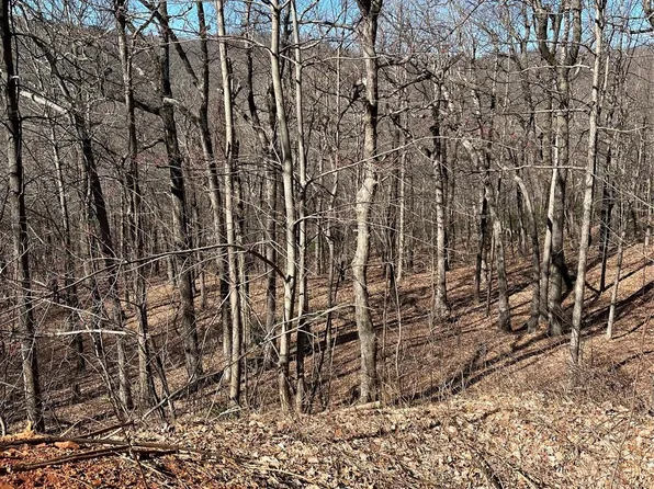 39 White Oak Mountain Rd Lot 39, Columbus, NC 28722