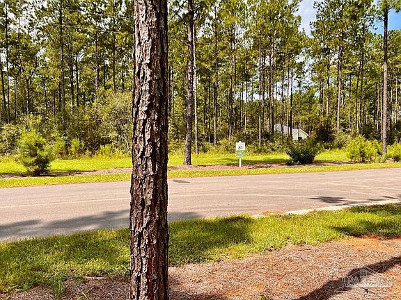 4th image of 81 Naturewalk Dr