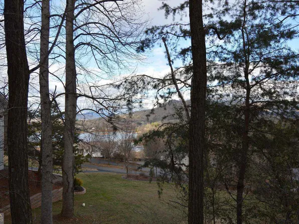 4 Brer Fox Ridge Rd, Hiawassee, GA 30546