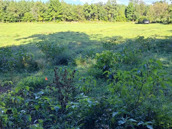 0 Ridge Rd, Powhatan, VA 23139