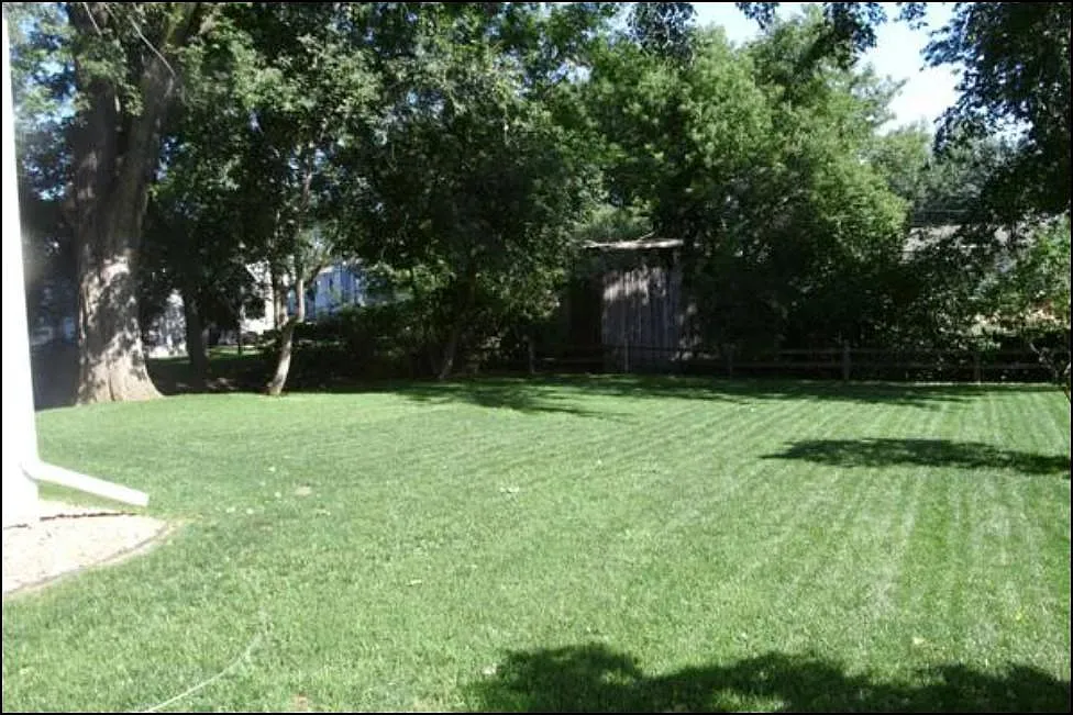 Backyard - 2425 19th St NW