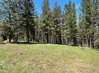 LOT B6 Nine Camas Dr, New Meadows, ID 83654