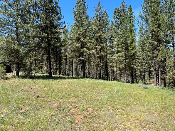 LOT B6 Nine Camas Dr, New Meadows, ID 83654