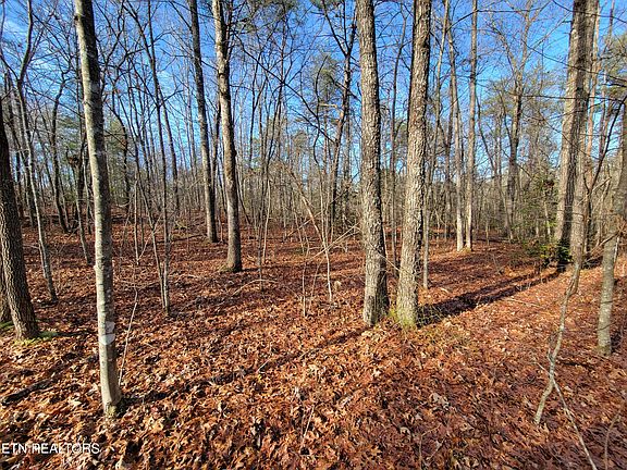 5th image of 30 Laurel Loop