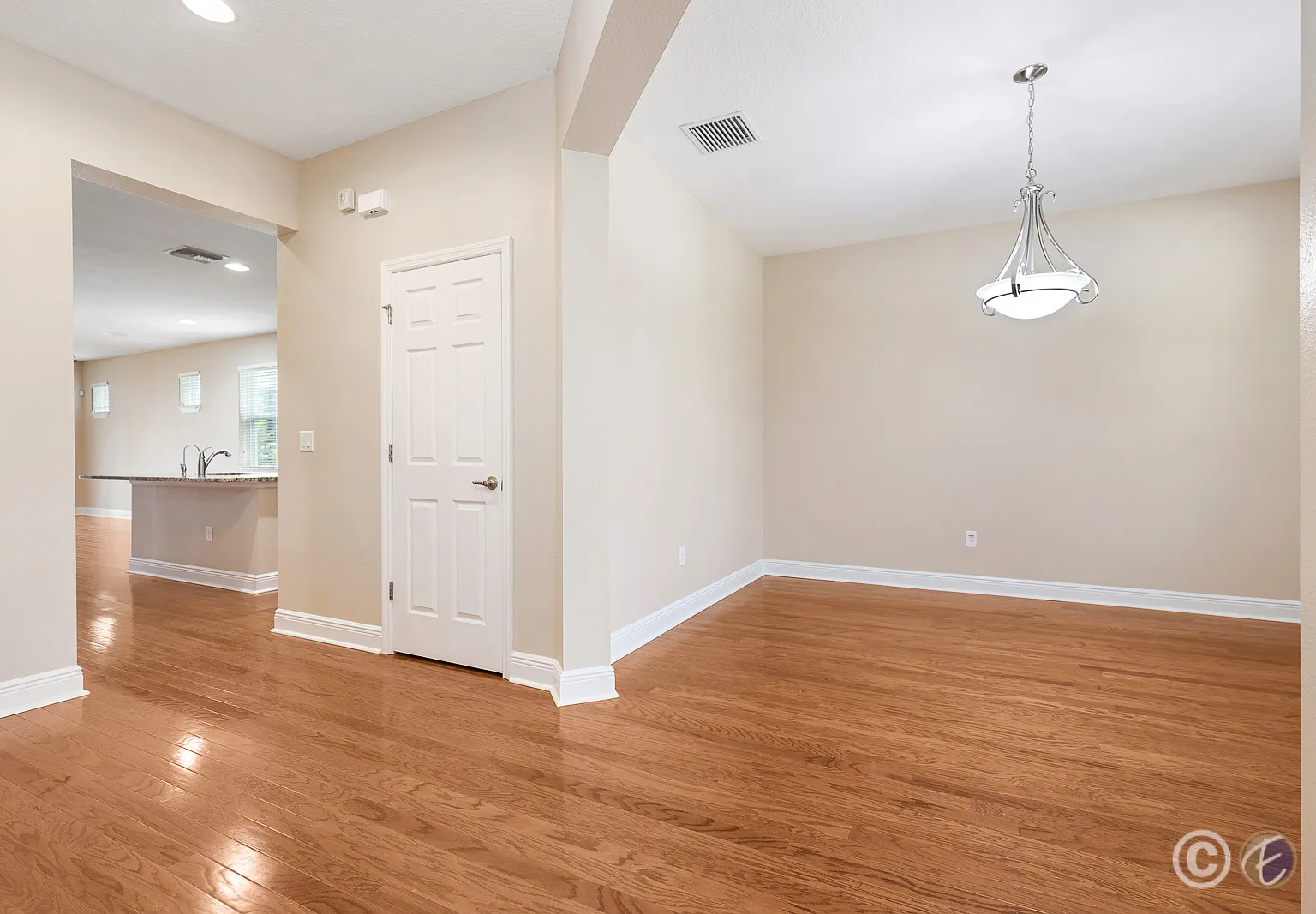 14313 Azalea Pond Court | FishHawk Ranch — Photo 2