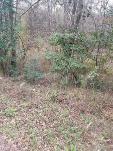 14511 Fm 1725 Rd, Cleveland, TX, 77328
