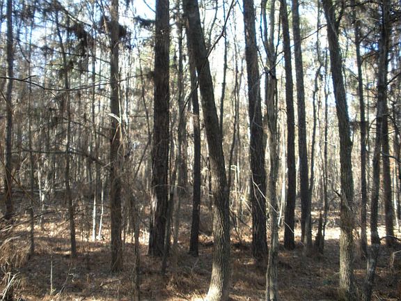 3rd image of 899 County Road 3343