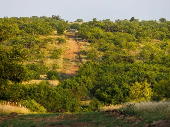 0 County Road 455, Cross Plains, TX 76443