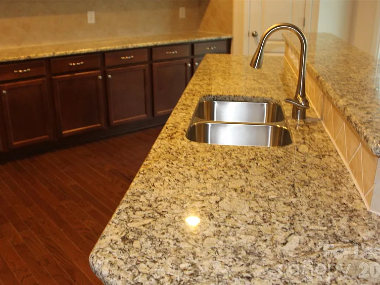 12008 Virginia Pine Ln — Photo 12