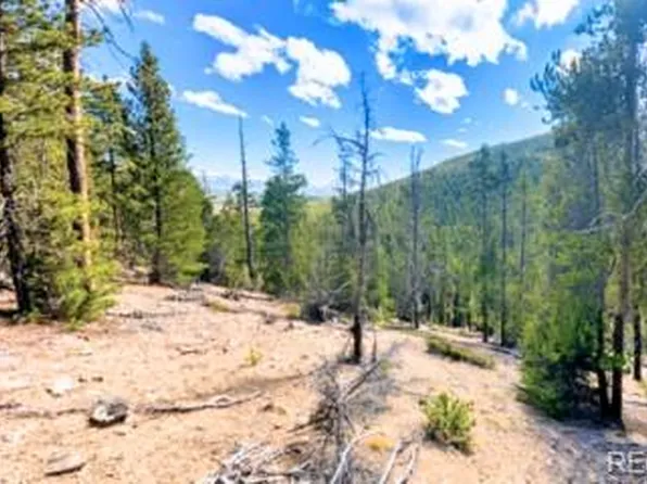111 Kevin Gulch Road, Leadville, CO 80461