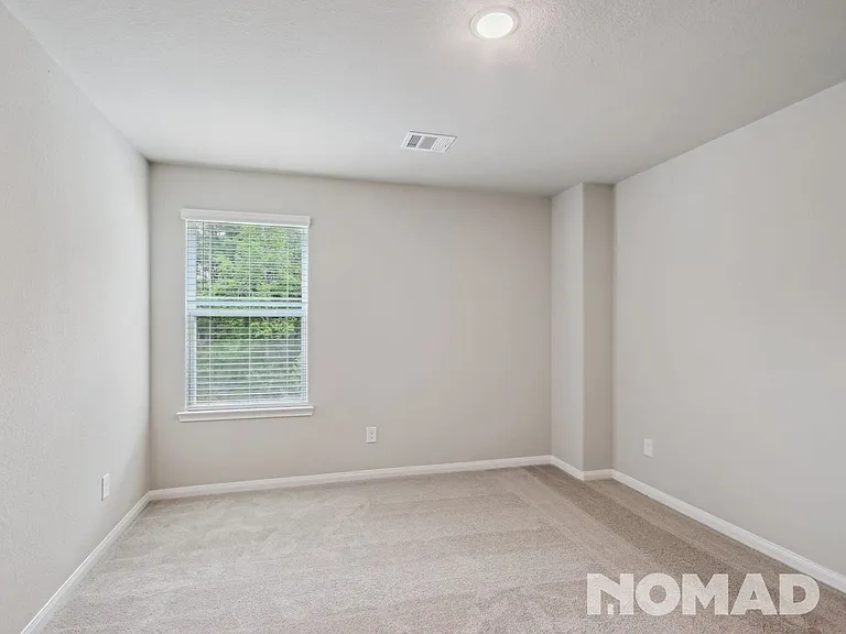 1401 Mount Blanc Path — Photo 16