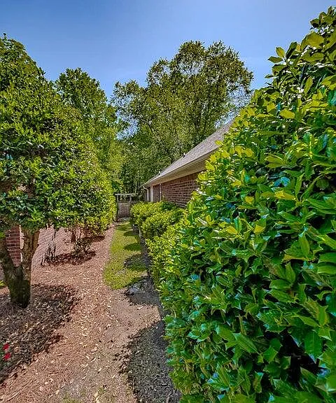 1265 Cutleaf Dr — Photo 31