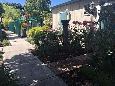 Live Oak Apartments — Photo 112