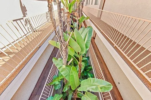 Seaview Apartments — Photo 12
