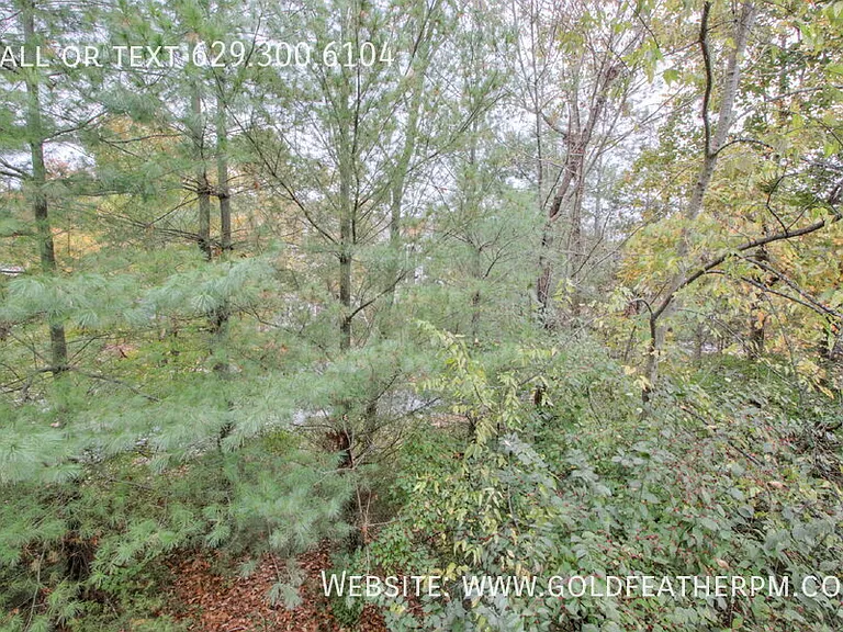 42 Fawn Creek Pass — Photo 22