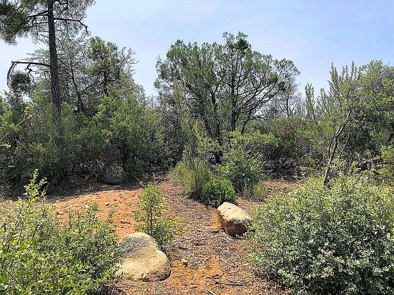 2nd image of 573 Lodge Trail Cir