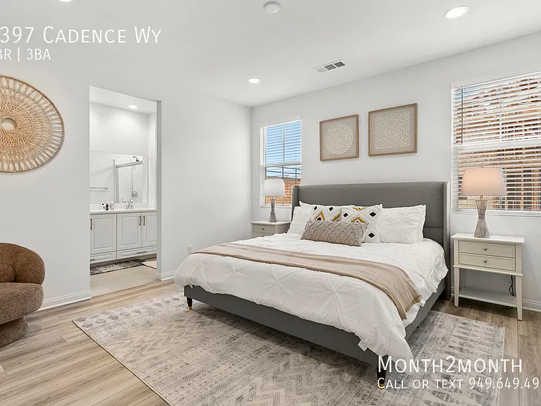 4397 Cadence Way — Photo 10