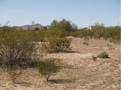 5th image of 10564 N Little Wind Way