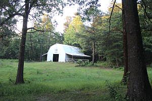 5th image of 3148 Marion County #6014