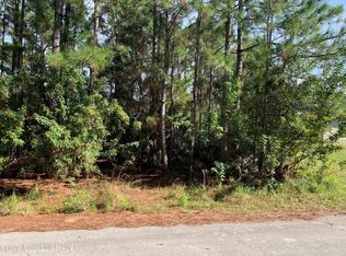 574 Fountain St SW, Palm Bay, FL 32908