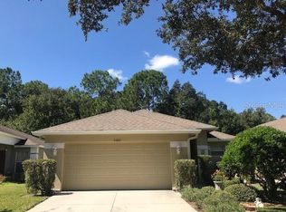 5223 Gato Del Sol Cir, Zephyrhills, FL 33544