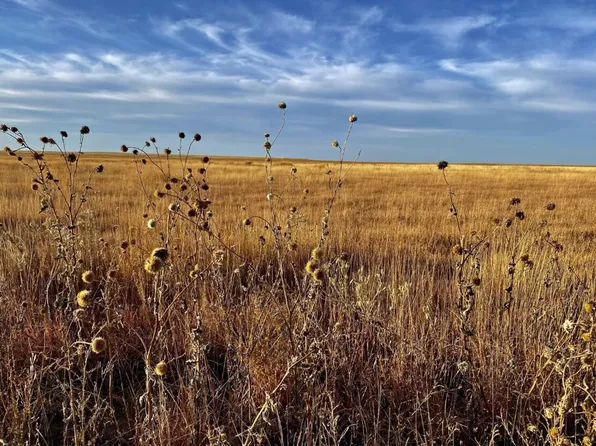 County Rd W, Eads, CO 81036