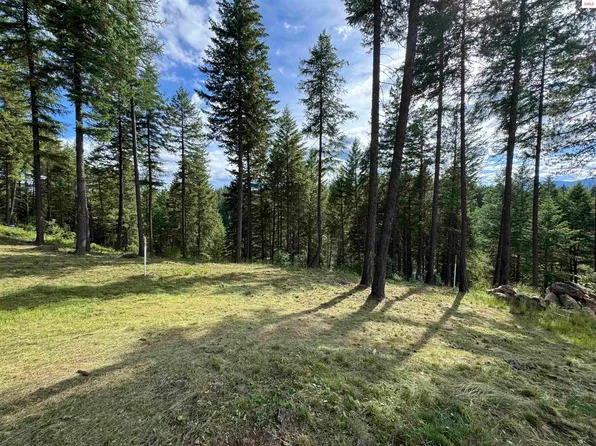Nna Wildflower Way Lot 9, Sandpoint, ID 83864