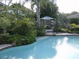 1st image of 311 Sabal Park Ct