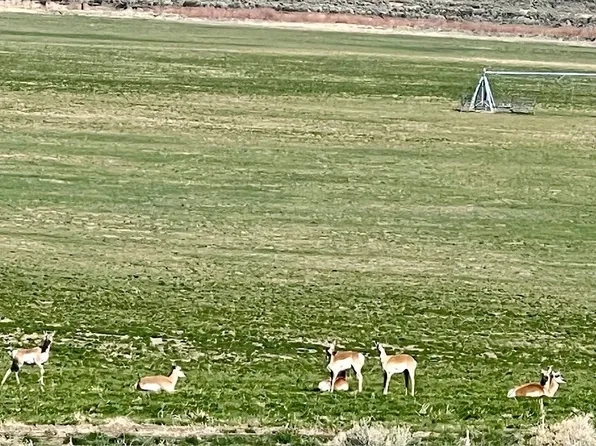 Tdb Parcel, Montello, NV 89830