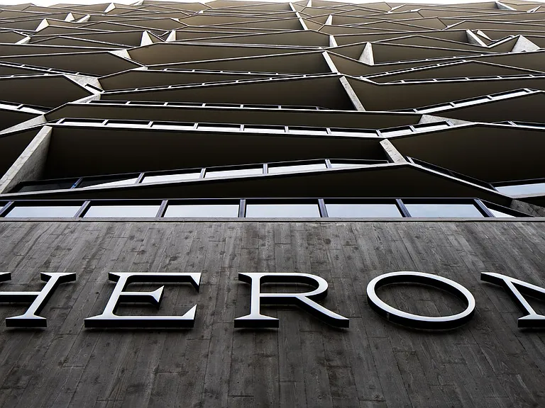 Heron — Photo 13