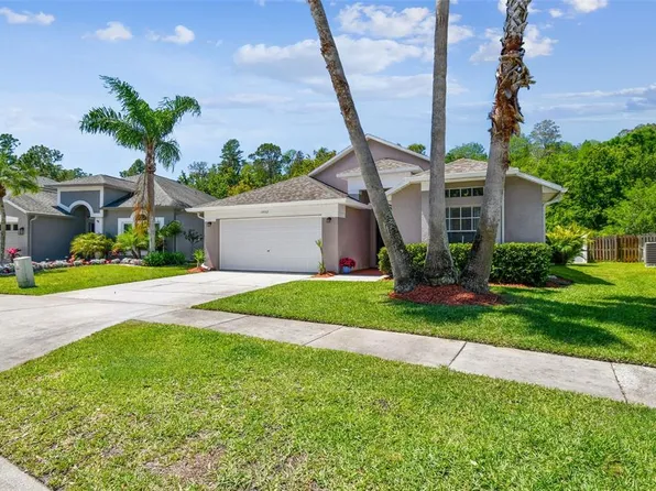 14532 Weeping Elm Dr, Tampa, FL 33626