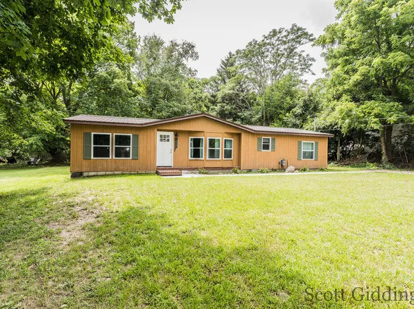 318 E Bellevue St, Stanton, MI 48888