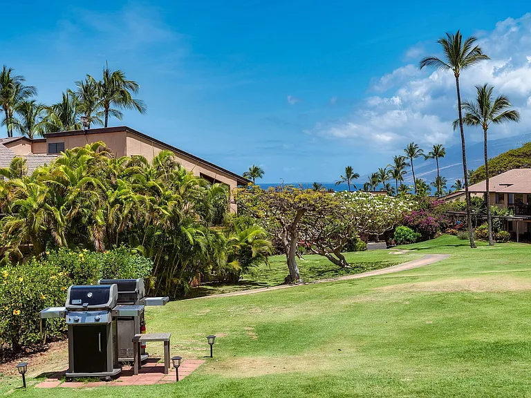 Wailea Alanui Dr — Photo 35