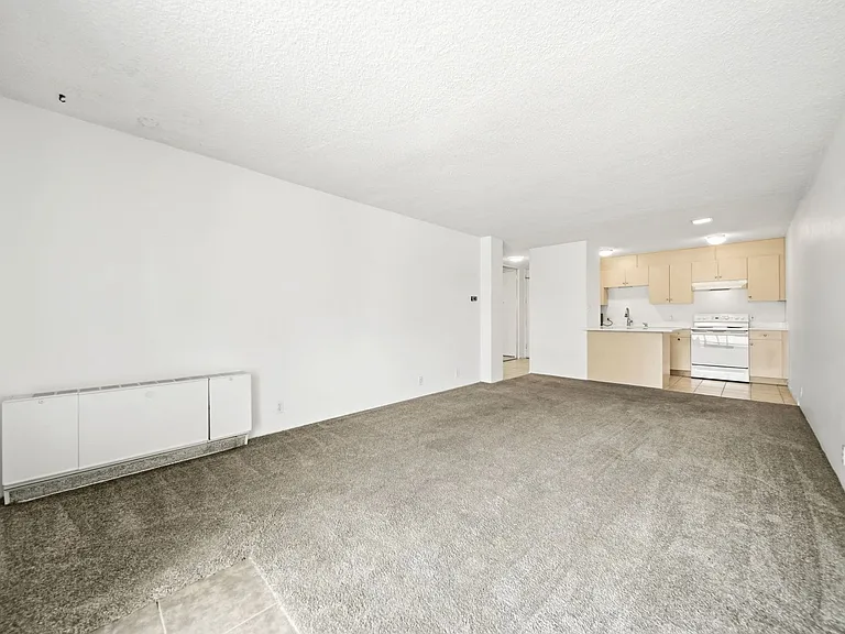 2500 S York St #215 — Photo 6