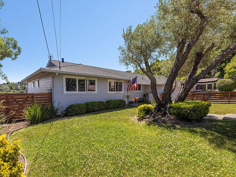 Front of house, yard, olive tree