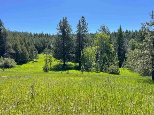 4435 Whittier Rd Lot 2, Clayton, WA 99110