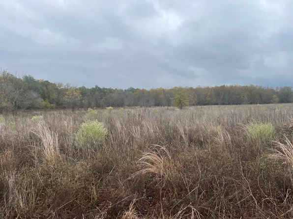 Sanders Rd Lot Wp002, Fort Necessity, LA 71243