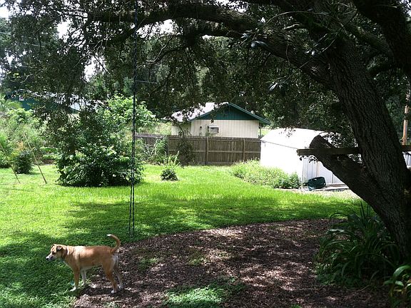 4th image of 3809 Dovehollow Dr