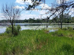 153 Tompkins Rd, Pomona Park, FL 32181