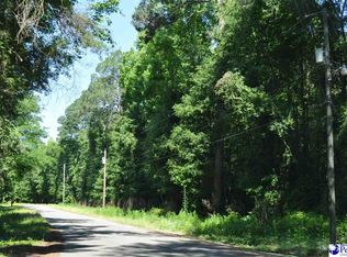 LOT 3K-3L Branchwood Rd, Clio, SC 29525