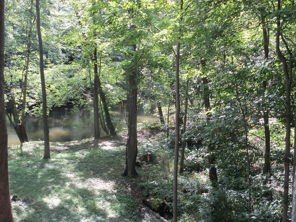 1st image of Paw Paw Avenue