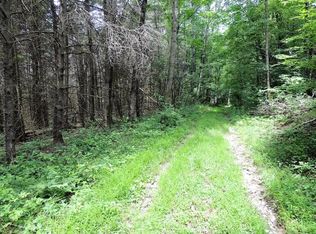 0 Hutchinson Hill Rd, Mount Upton, NY 13809