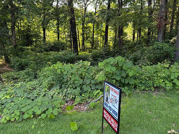 2nd image of Turtle Creek Dr