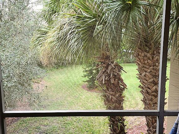 5th image of 10335 Carrollwood Ln APT 115