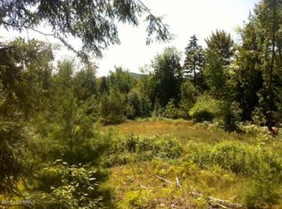 345 Waddell Rd, Johnsburg, NY 12843