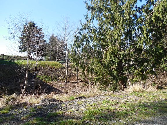 4th image of Scenic View Drive