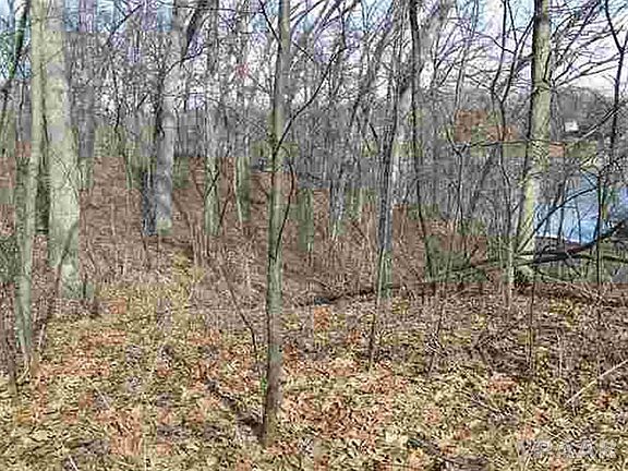 5th image of LOT 3 E Kenabeck Trl