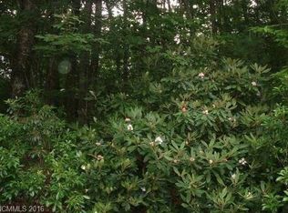 0035 Turkey Run, Brevard, NC 28712